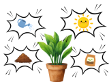 Je peux nommer les besoins essentiels d'un animal ou d'une plante (eau, nourriture, lumière…).